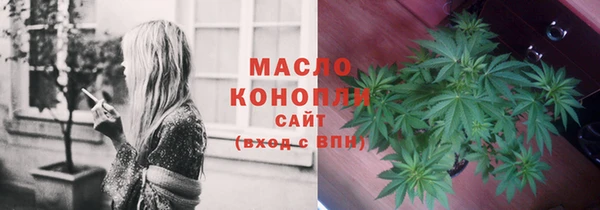 индика Арсеньев