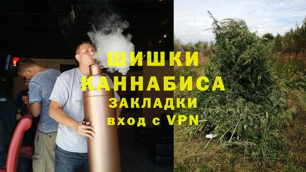 индика Арсеньев