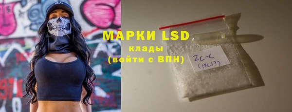 индика Арсеньев