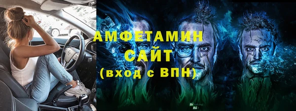 индика Арсеньев