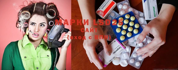 индика Арсеньев