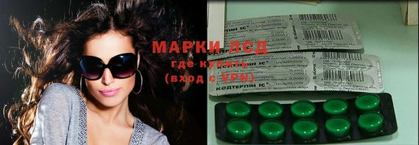 индика Арсеньев